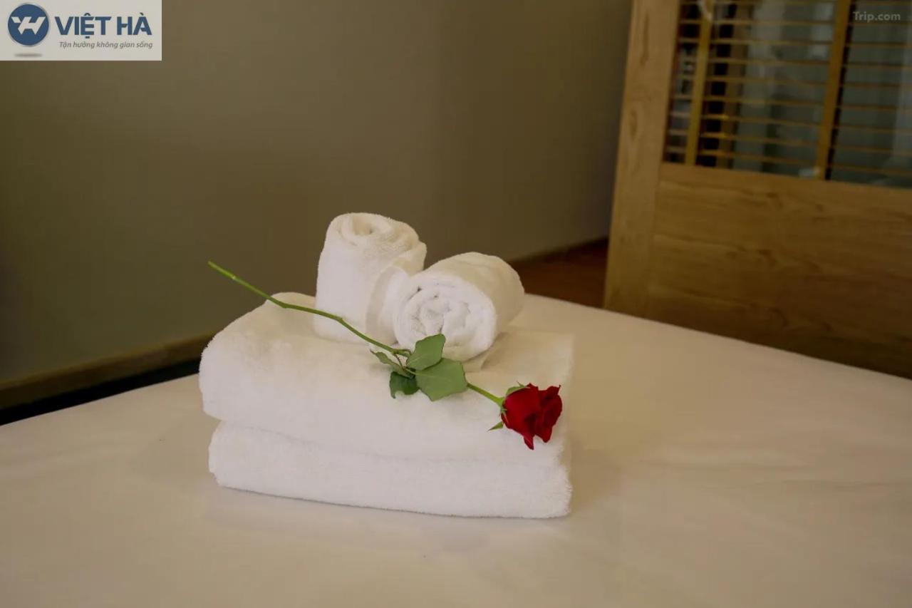 Viet Ha Hotel Ho Chi Minh-byen Eksteriør bilde